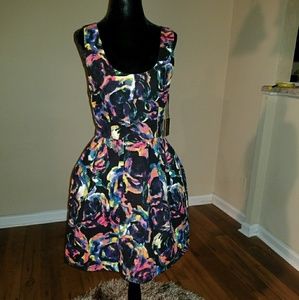 Jack by BB Dakota Dress